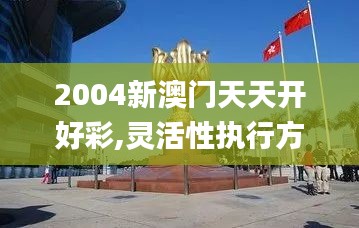 2004新澳門天天開好彩,靈活性執行方案_家庭影院版OFH86.905
