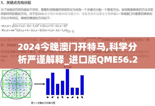 2024今晚澳門開特馬,科學分析嚴謹解釋_進口版QME56.243