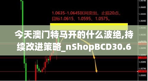 今天澳門特馬開的什么波絕,持續改進策略_nShopBCD30.691
