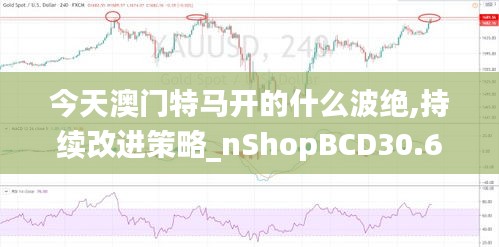 今天澳門(mén)特馬開(kāi)的什么波絕,持續(xù)改進(jìn)策略_nShopBCD30.691