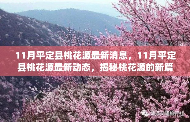 揭秘,11月平定縣桃花源最新動態與進展新篇章