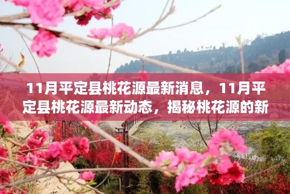 揭秘,11月平定縣桃花源最新動態與進展新篇章