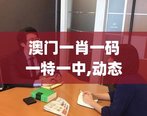 澳門一肖一碼一特一中,動態解讀分析_高速版FXZ13.381