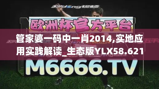 管家婆一碼中一肖2014,實(shí)地應(yīng)用實(shí)踐解讀_生態(tài)版YLX58.621