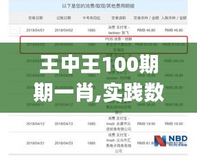 王中王100期期一肖,實踐數據分析評估_緊湊版XIH68.711