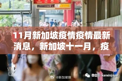 新加坡十一月疫情下的溫馨日常與友情力量,最新疫情消息