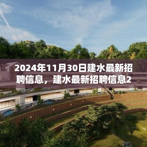 建水最新招聘信息概覽,2024年11月30日更新