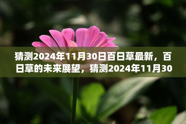 百日草的未來展望,揭秘2024年百日草最新動態與未來趨勢分析
