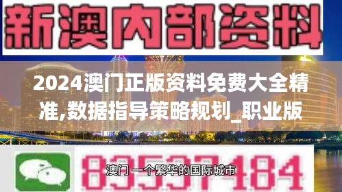 2024澳門正版資料免費大全精準,數據指導策略規劃_職業版RQC48.767