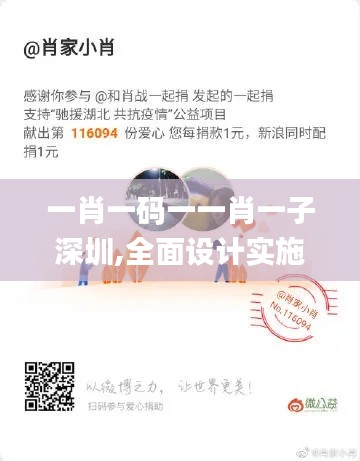 一肖一碼一一肖一子深圳,全面設(shè)計(jì)實(shí)施_輕奢版VZZ43.642