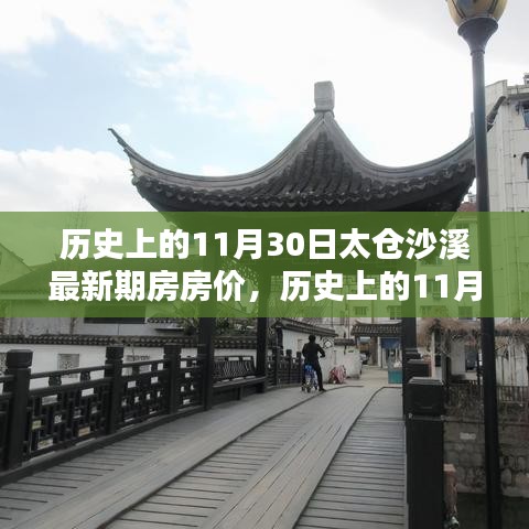 太倉沙溪最新期房房價深度解析,歷史上的11月30日房價概覽