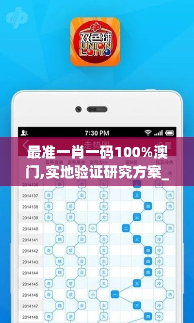 最準一肖一碼100%澳門,實地驗證研究方案_旗艦設備版EPR12.574