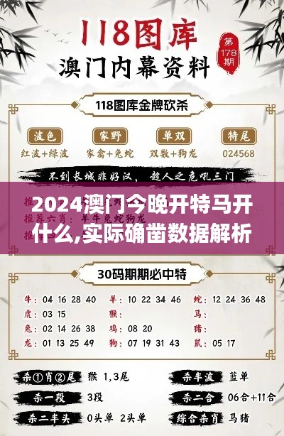 2024澳門今晚開特馬開什么,實際確鑿數據解析統計_按需版MLM50.381
