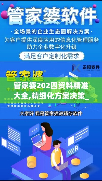 管家婆202四資料精準大全,精細化方案決策_散熱版USM26.102