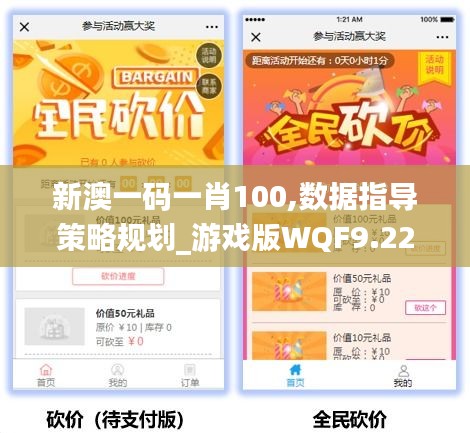 新澳一碼一肖100,數(shù)據(jù)指導策略規(guī)劃_游戲版WQF9.227