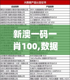 新澳一碼一肖100,數據指導策略規劃_游戲版WQF9.227
