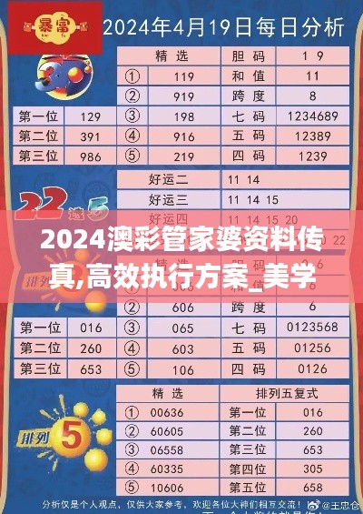 2024澳彩管家婆資料傳真,高效執行方案_美學版KVY24.824