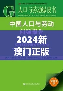 2024新澳門正版全年免費資料,實地驗證研究方案_高效版KDU99.891