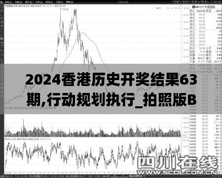 2024香港歷史開獎結果63期,行動規劃執行_拍照版BFB28.658