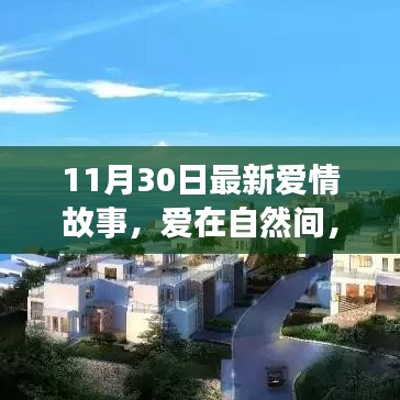 11月30日愛情故事,愛在自然間的內心平靜之旅