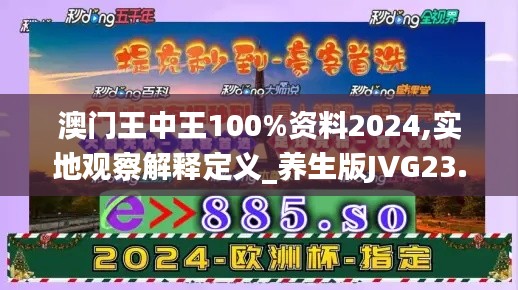 澳門王中王100%資料2024,實地觀察解釋定義_養生版JVG23.246