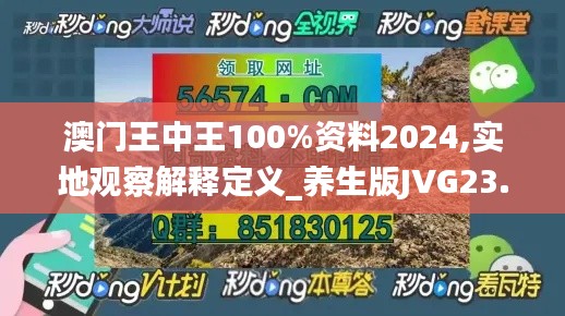 澳門王中王100%資料2024,實地觀察解釋定義_養生版JVG23.246