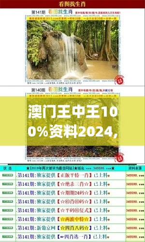 澳門王中王100%資料2024,實地觀察解釋定義_養生版JVG23.246