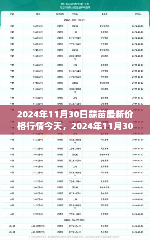 蒜苗最新價格行情與尋找內心寧靜的自然美景之旅