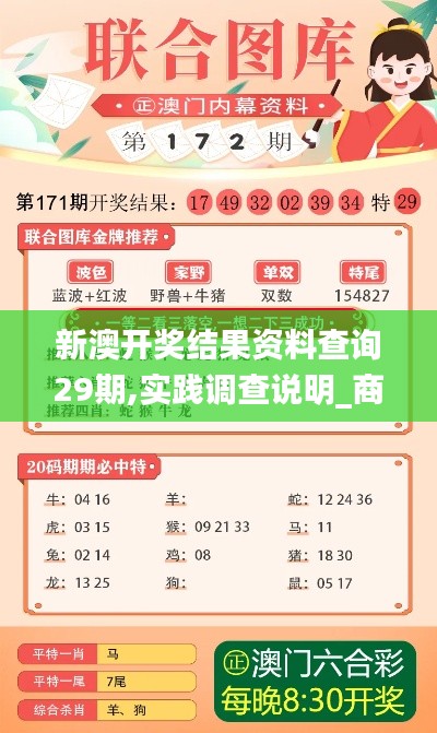 新澳開獎結果資料查詢29期,實踐調查說明_商務版AIK9.225