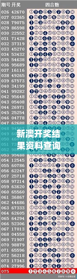 新澳開獎結果資料查詢29期,實踐調查說明_商務版AIK9.225