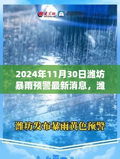 濰坊暴雨預(yù)警新紀(jì)元,智能預(yù)警系統(tǒng)革新體驗(yàn)及最新消息(2024年11月30日)