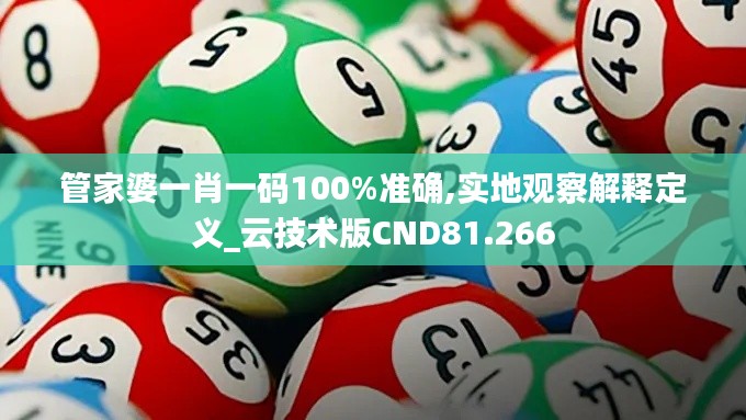 管家婆一肖一碼100%準確,實地觀察解釋定義_云技術版CND81.266