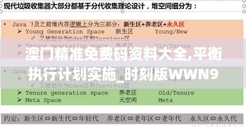 澳門精準免費碼資料大全,平衡執(zhí)行計劃實施_時刻版WWN98.109