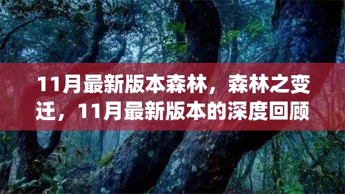 11月最新版本森林的變遷,深度回顧與影響