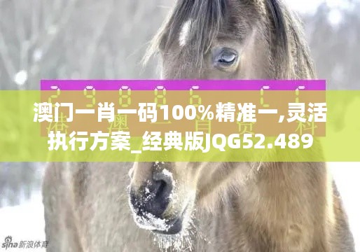 澳門(mén)一肖一碼100%精準(zhǔn)一,靈活執(zhí)行方案_經(jīng)典版JQG52.489