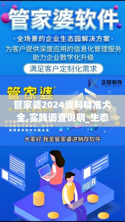 管家婆2024資料精準(zhǔn)大全,實(shí)踐調(diào)查說明_生態(tài)版LWB59.528