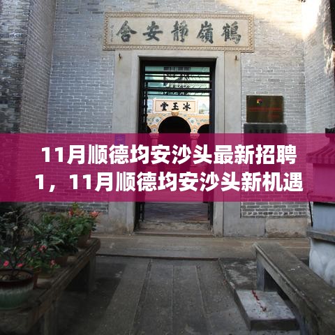 11月順德均安沙頭最新招聘啟航,職場新征程,學習變革與自信成長的機會