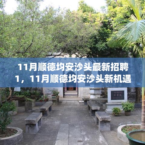 11月順德均安沙頭最新招聘啟航,職場(chǎng)新征程,學(xué)習(xí)變革與自信成長(zhǎng)的機(jī)會(huì)