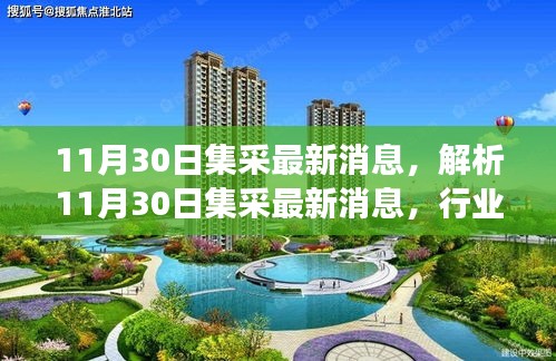 解析,從行業變革與個人立場看,11月30日集采的最新消息動態