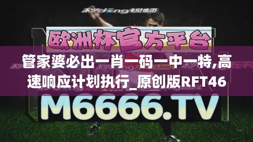 管家婆必出一肖一碼一中一特,高速響應計劃執行_原創版RFT46.562