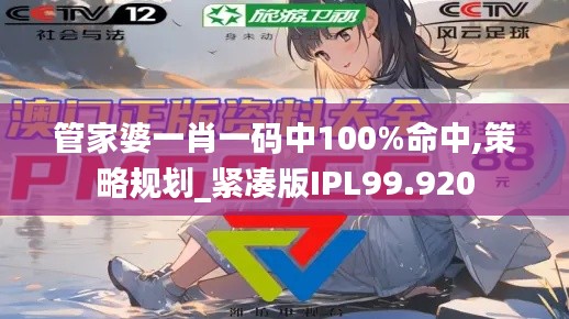 管家婆一肖一碼中100%命中,策略規劃_緊湊版IPL99.920