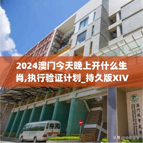 2024澳門今天晚上開什么生肖,執(zhí)行驗證計劃_持久版XIV50.476