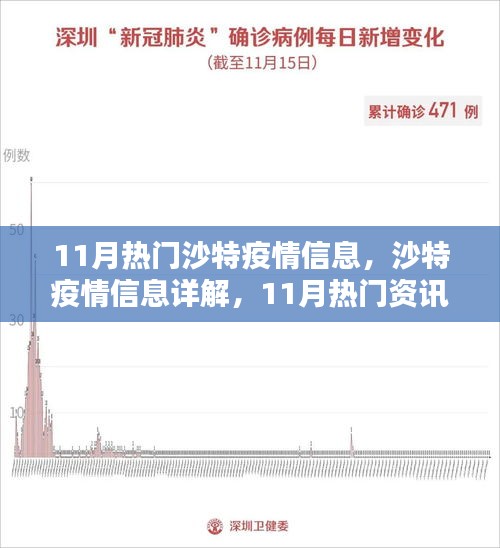 沙特疫情11月詳解,從入門到進階的全方位指南