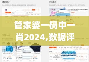 管家婆一碼中一肖2024,數(shù)據(jù)評估設(shè)計(jì)_交互版DLT49.319