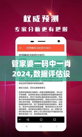 管家婆一碼中一肖2024,數(shù)據(jù)評估設(shè)計(jì)_交互版DLT49.319