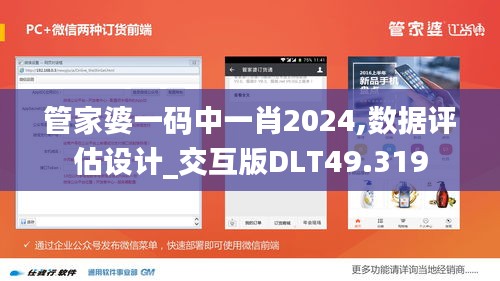 管家婆一碼中一肖2024,數據評估設計_交互版DLT49.319