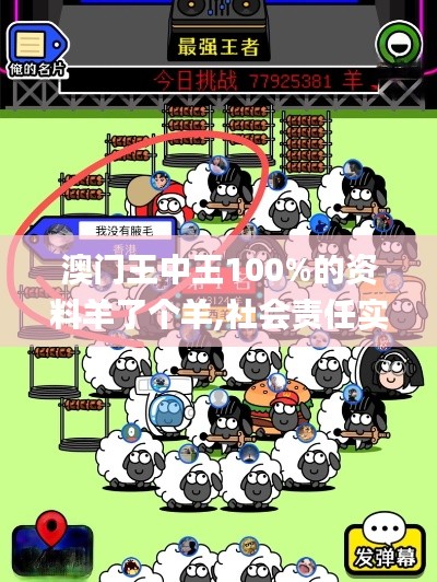 澳門王中王100%的資料羊了個羊,社會責任實施_傳達版FEB67.394