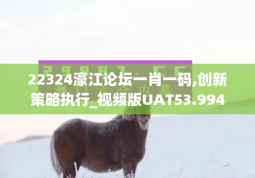 22324濠江論壇一肖一碼,創新策略執行_視頻版UAT53.994