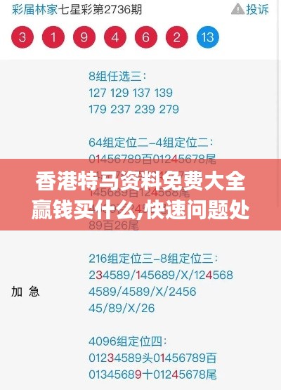 香港特馬資料免費大全贏錢買什么,快速問題處理_桌面款NYF90.402