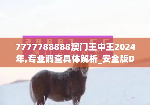 7777788888澳門王中王2024年,專業調查具體解析_安全版DHQ26.873
